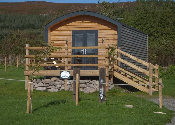 The Buzzard - 6 Person Family Glamping Cabin