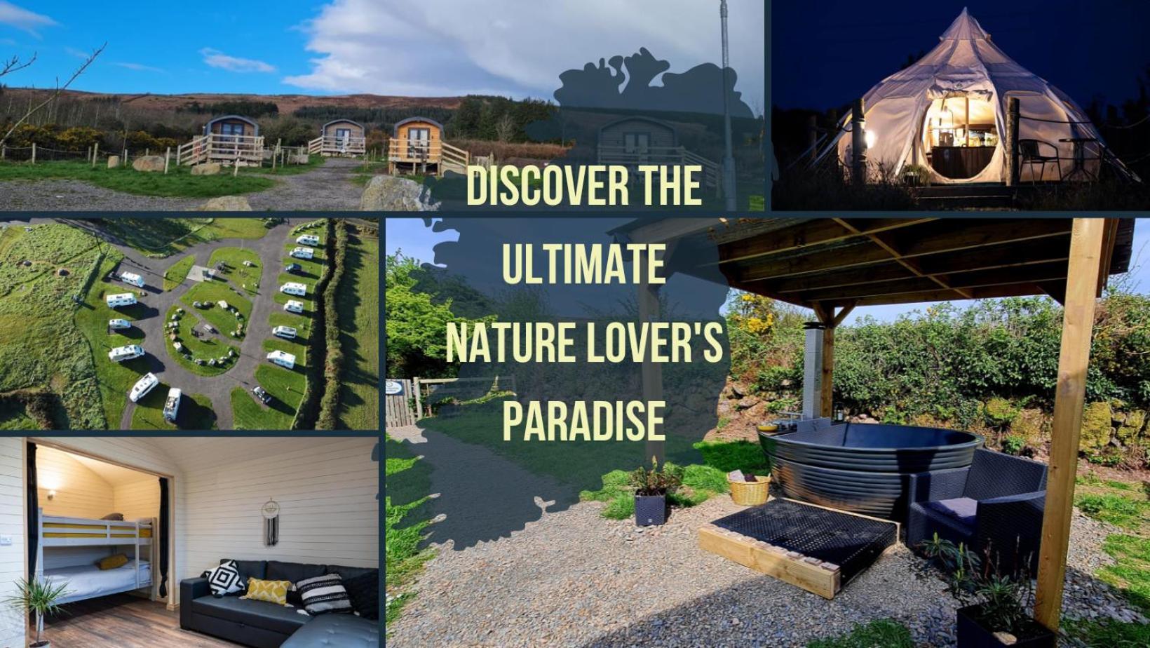 The Getaway - The Buzzard - Luxury Family Glamping Cabin Campingplatz *